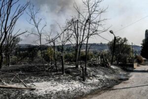 Καταγραφή επιχειρήσεων που επλήγησαν από τις πυρκαγιές στην Περιφέρεια Δυτικής Ελλάδας