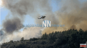 Μεγάλη πυρκαγιά στο Ευηνοχώρι Μεσολογγίου