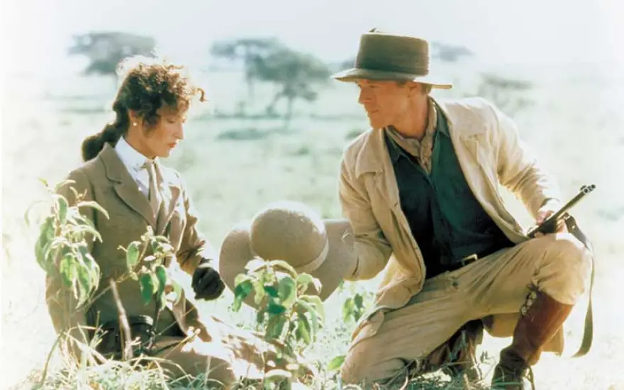 Ρόμπερτ Ρέντφορντ: Από το Χόλιγουντ στον ακτιβισμό – Η ζωή και η παρακαταθήκη του