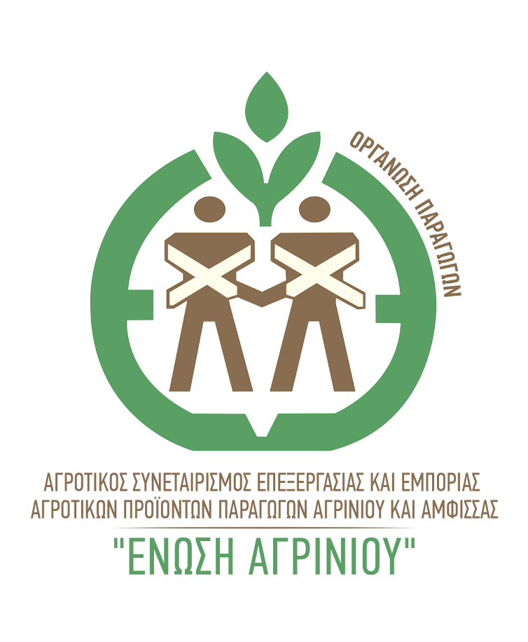 Από το χωράφι στο πιάτο: Πώς η Ένωση Αγρινίου & Άμφισσας αναβαθμίζει την ποιότητα της βρώσιμης ελιάς