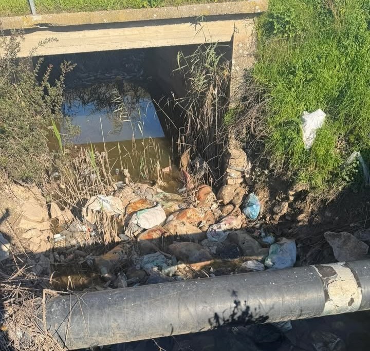 Νεκρά πρόβατα σε αύλακες και στο Λεσίνι – Σοβαρός κίνδυνος για υγεία και περιβάλλον