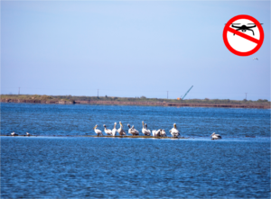 ΟΦΥΠΕΚΑ: Προσοχή στις πτήσεις drone στο Εθνικό Πάρκο Λιμνοθαλασσών Μεσολογγίου – Αιτωλικού