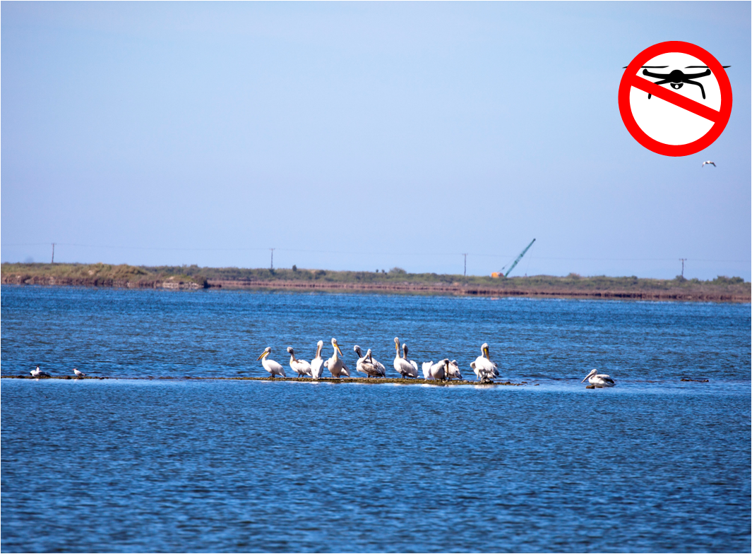 ΟΦΥΠΕΚΑ: Προσοχή στις πτήσεις drone στο Εθνικό Πάρκο Λιμνοθαλασσών Μεσολογγίου – Αιτωλικού