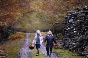 Όταν έρθει το φθινόπωρο στον Άνεσις
