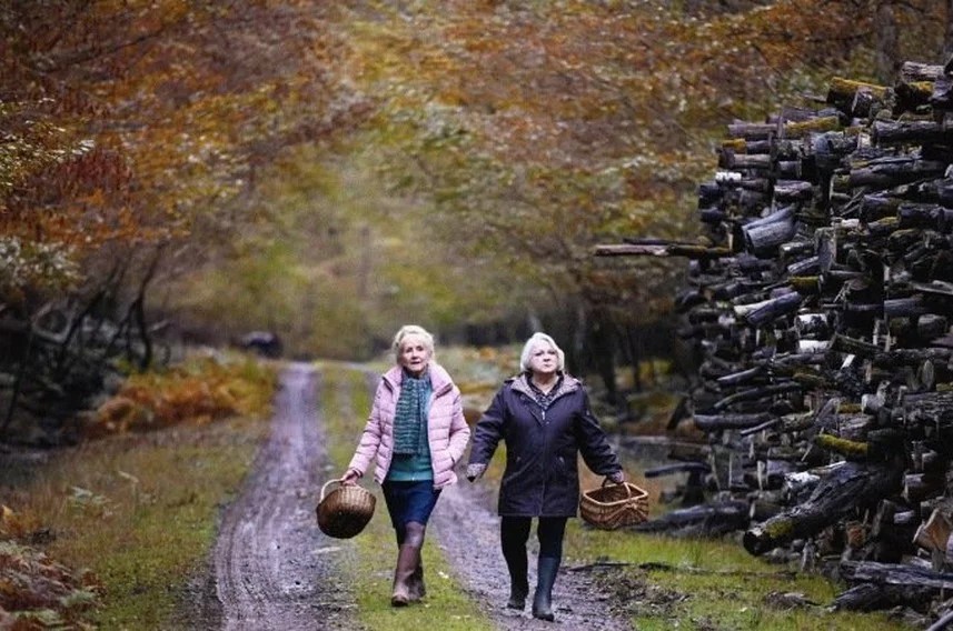 Όταν έρθει το φθινόπωρο στον Άνεσις