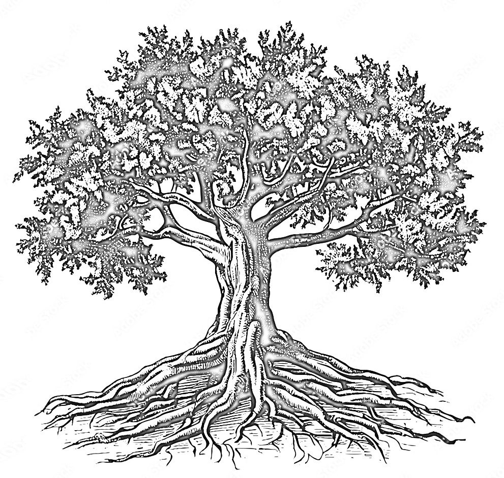 Η επίδραση του φυσικού περιβάλλοντος στη λαογραφία και την παράδοση των Οινιαδών