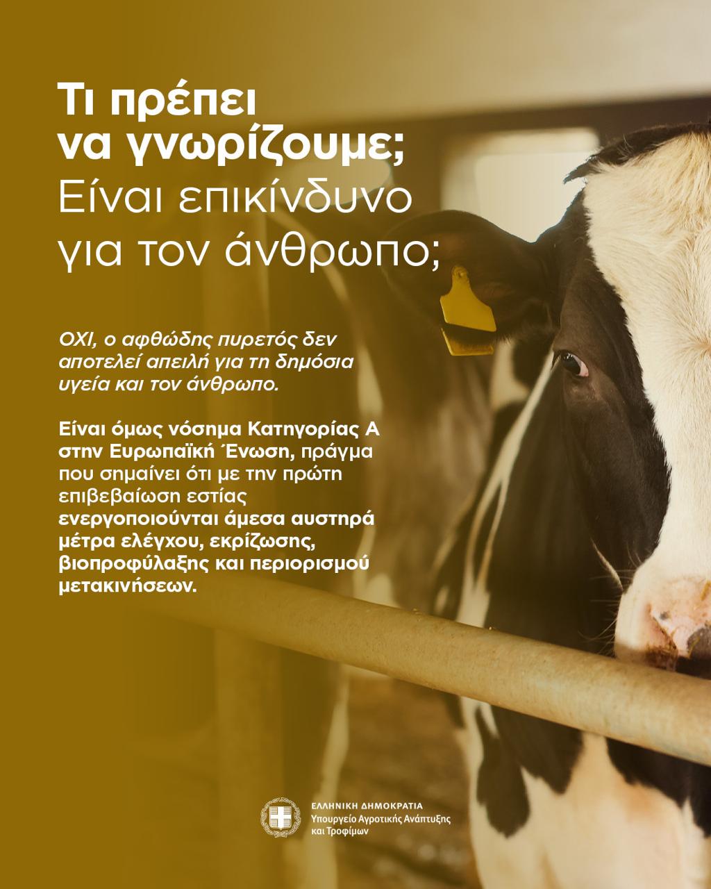 Αφθώδης πυρετός: Όσα πρέπει να γνωρίζουν κτηνοτρόφοι και πολίτες