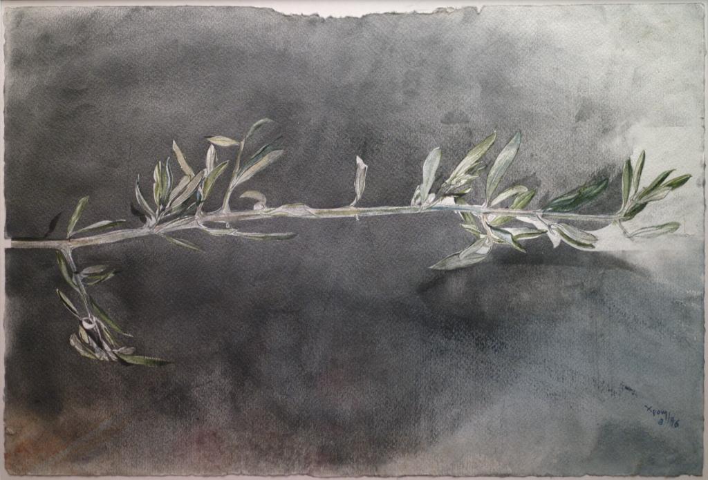 «Ελαίας & καπνού εγκώμιον»: Μεγάλη εικαστική έκθεση στο Αγρίνιο για τα 100 χρόνια του Παναιτωλικού