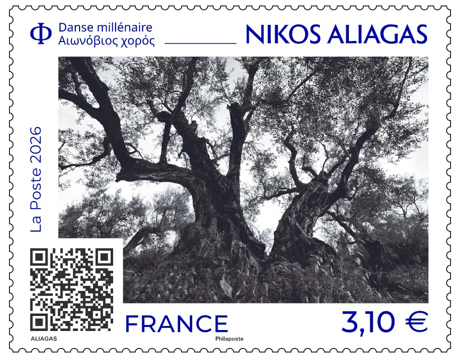 Μεσολόγγι: Οι αιωνόβιες ελιές της Σταμνάς σε γαλλικό γραμματόσημο – Διεθνής διάκριση για τον Νίκο Αλιάγα