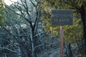 Περιφέρεια Δυτικής Ελλάδας: Ποιες περιοχές μπαίνουν σε απαγόρευση κυκλοφορίας σε ημέρες υψηλού κινδύνου πυρκαγιάς