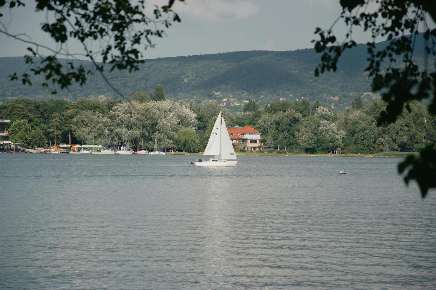 Κώστας Πιστιόλας: Πρόταση για διεθνές κέντρο ιστιοπλοΐας σε Τριχωνίδα – Λυσιμαχεία