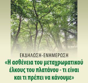 Ημερίδα στο Θέρμο για το μεταχρωματικό έλκος του πλατάνου και την προστασία των αιωνόβιων δέντρων