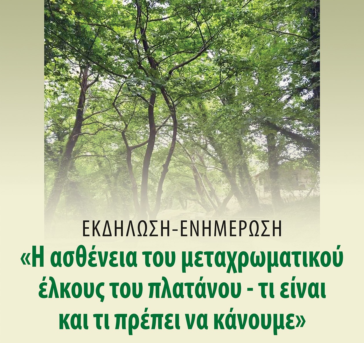 Ημερίδα στο Θέρμο για το μεταχρωματικό έλκος του πλατάνου και την προστασία των αιωνόβιων δέντρων