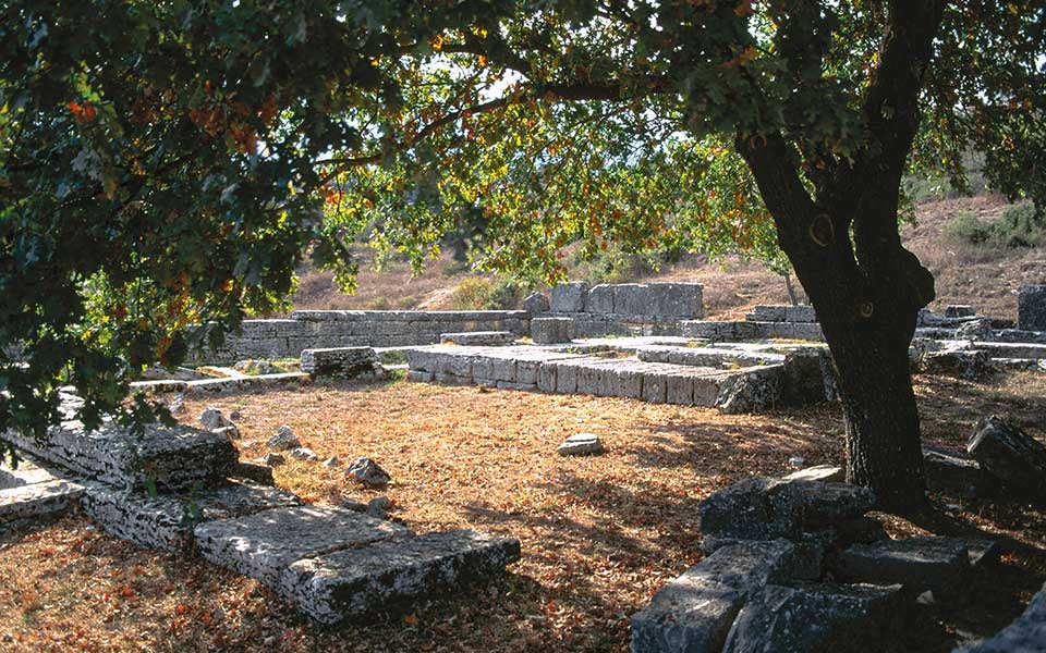 Βελανιδόδασος Ξηρομέρου: Ο υπεραιωνόβιος φυσικός θησαυρός της Αιτωλοακαρνανίας που ζητά προστασία