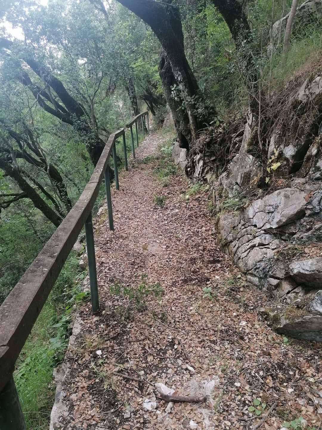6η Ενδοποτάμια Πεζοπορία στον Τρύφο: Δύο διαδρομές στις 2 και 9 Αυγούστου λόγω αυξημένου ενδιαφέροντος