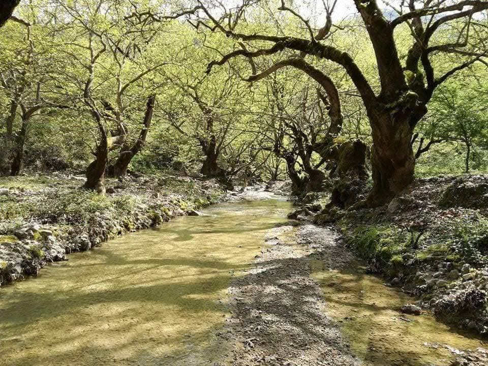 6η Ενδοποτάμια Πεζοπορία στον Τρύφο: Δύο διαδρομές στις 2 και 9 Αυγούστου λόγω αυξημένου ενδιαφέροντος
