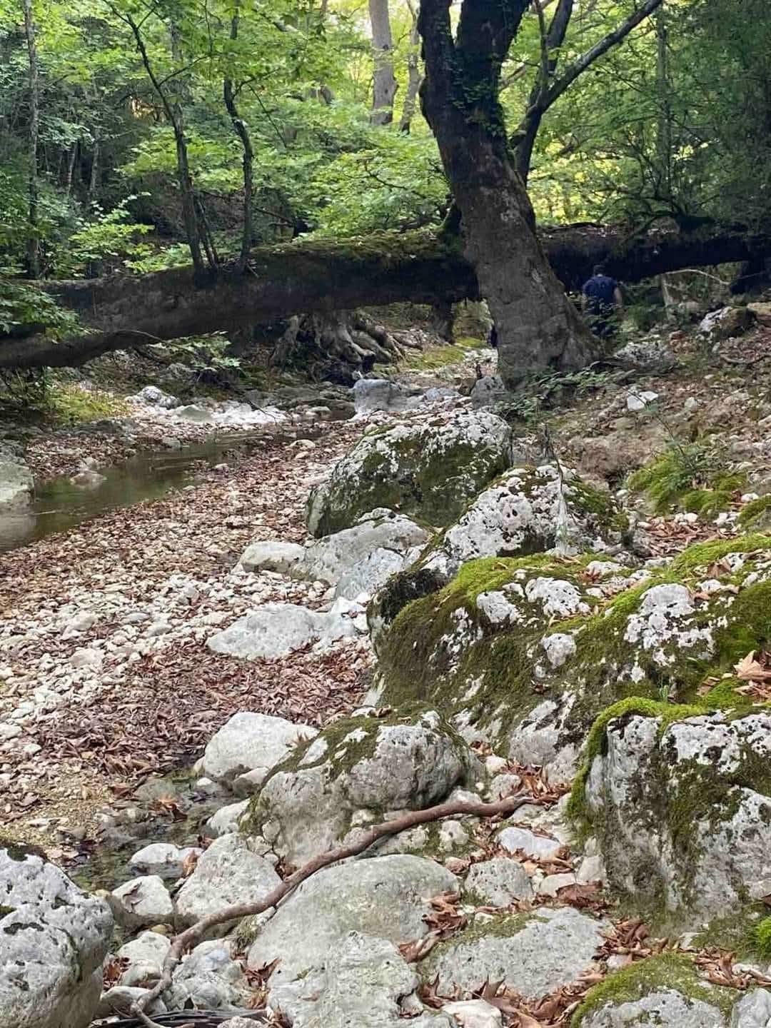 6η Ενδοποτάμια Πεζοπορία στον Τρύφο: Δύο διαδρομές στις 2 και 9 Αυγούστου λόγω αυξημένου ενδιαφέροντος