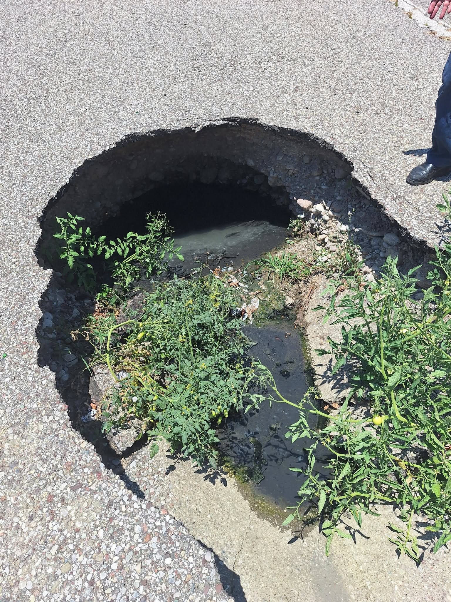 Ανησυχία για τις συνθήκες στην περιοχή του Παλαιού Νοσοκομείου Αγρινίου – Κάτοικοι κάνουν λόγο για πρόβλημα που παραμένει άλυτο εδώ και μήνες
