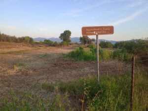 Ευθύμιος Αδάμης: Το αρχαίο Αγρίνιο ως σημαντική πολιτιστική επιλογή για την πόλη