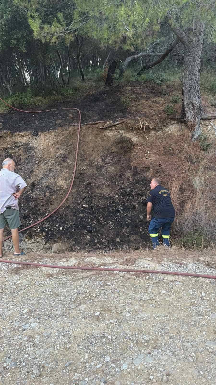 Δύο φωτιές στο Δασύλλιο Αγίου Χριστοφόρου μέσα στην ίδια ημέρα