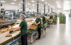 Αγροτικός Συνεταιρισμός Νεάπολης: Προσλήψεις εποχικών εργατών για το συσκευαστήριο ακτινιδίων