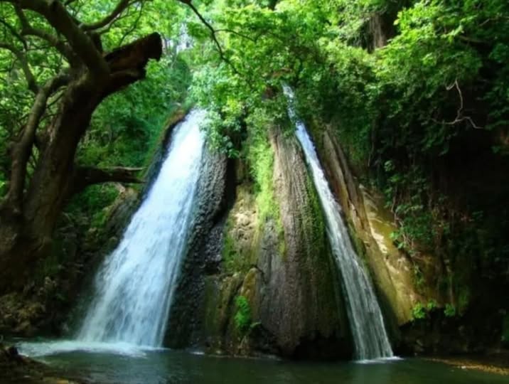 Αρνητική γνωμοδότηση του Δασαρχείου Αγρινίου για το υδροηλεκτρικό έργο στο Μοκεστιάνο